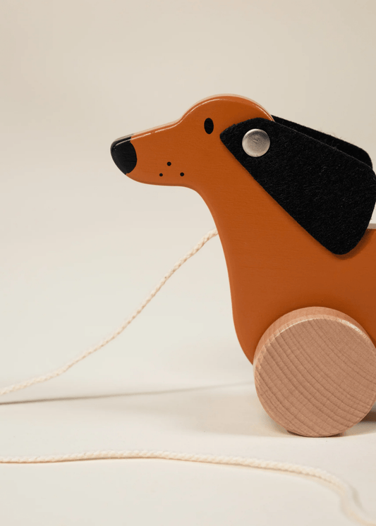 Coco Village Dog Pull Toy