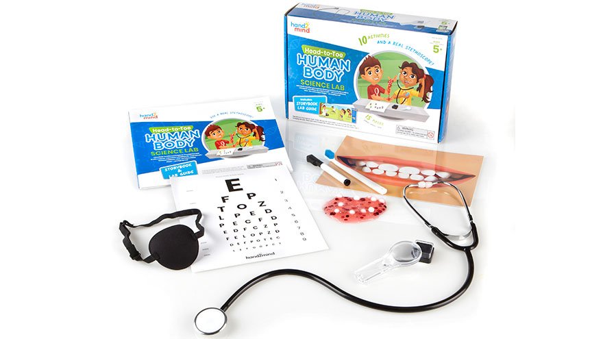 Head-To-Toe Human Body Science Lab