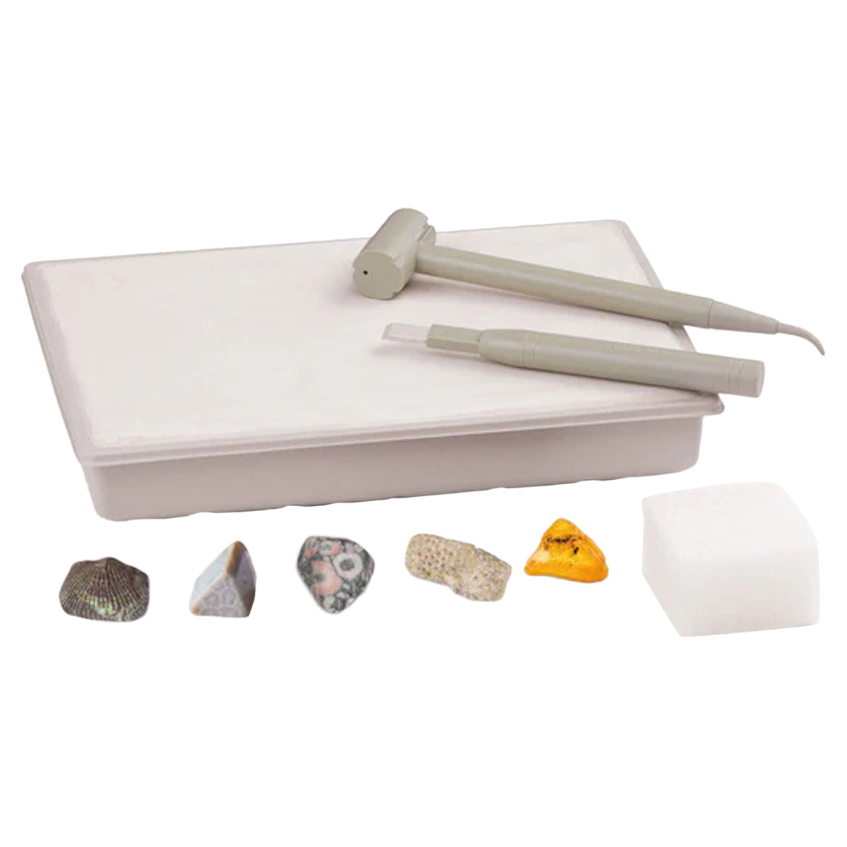I Dig It! Fossils - Real Fossils Excavation Kit
