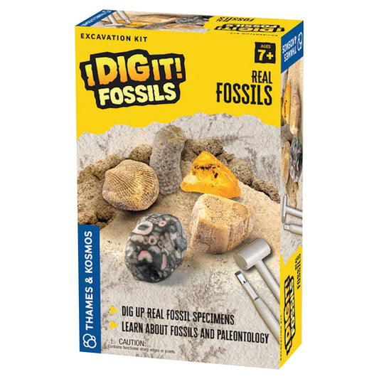 I Dig It! Fossils - Real Fossils Excavation Kit
