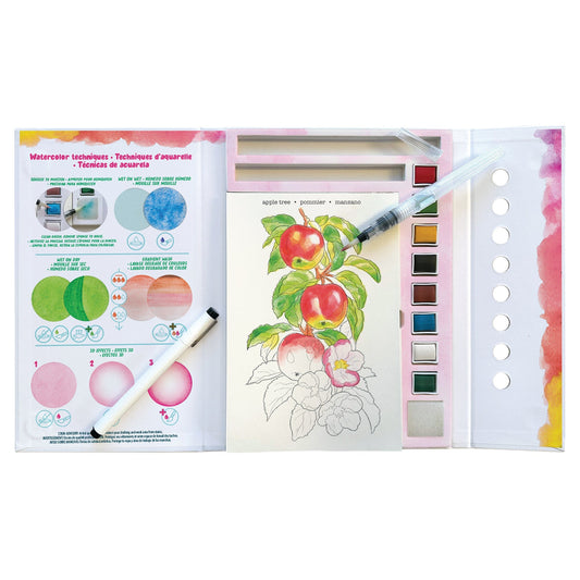 Bright Stripes  Watercolor Field Journal Flora